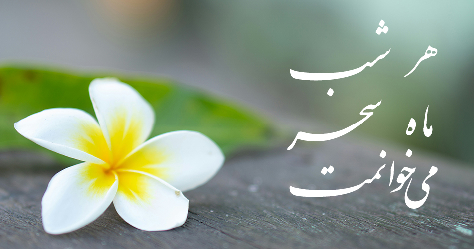 هر شبِ ماهِ سحر می‌خوانمت…